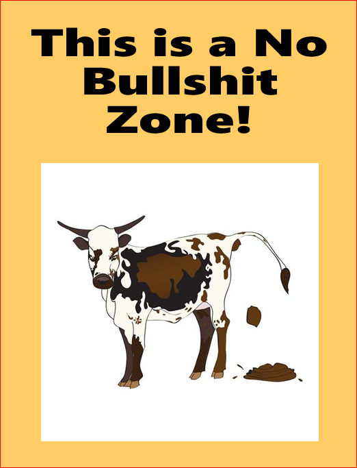 No Bullshit Zone