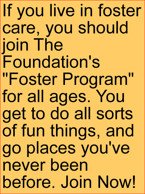 FosterProgram